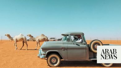 مهرجان الهجن السعودي يستضيف مسيرات بالسيارات الكلاسيكية