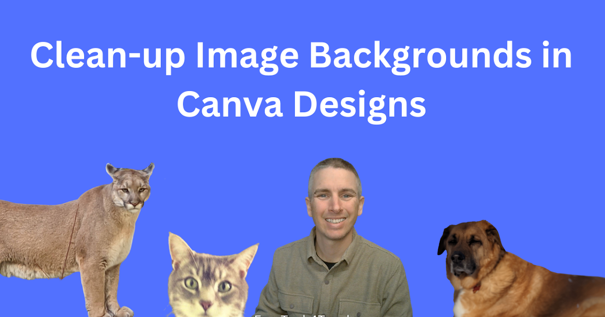 كيفية تنظيف خلفيات الصور في تصميمات Canva كيفية تنظيف خلفيات الصور في تصميمات Canva