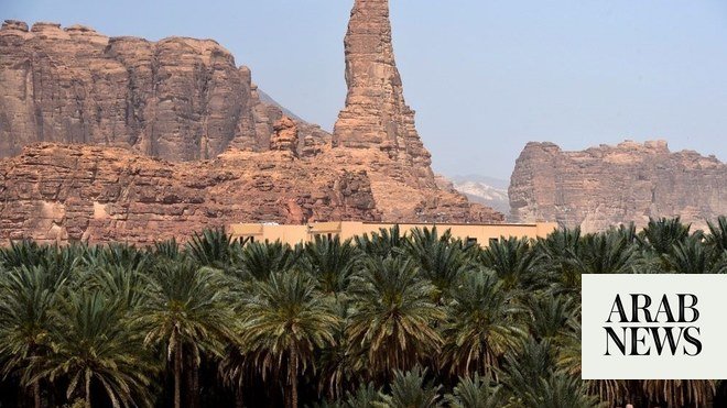 ارتفعت صادرات التمور السعودية خلال عام 2022 ارتفعت صادرات التمور السعودية خلال عام 2022