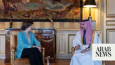 وزير الخارجية السعودي يلتقي نظيره الفرنسي