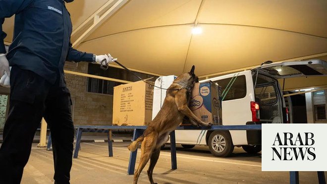 أحبطت قوات حرس الحدود السعودية بجازان محاولة تهريب 550 كيلوغراما من القات أحبطت قوات حرس الحدود السعودية بجازان محاولة تهريب 550 كيلوغراما من القات
