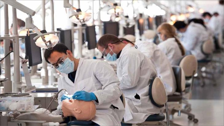 دراسة طب الأسنان في نيوزيلندا: الشروط والتكاليف والمنح والجامعات دراسة طب الأسنان في نيوزيلندا: الشروط والتكاليف والمنح والجامعات