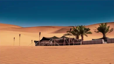 غزل بدوي في الجمال: سحر الصحراء في كلمات