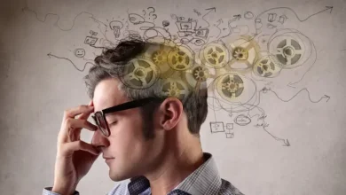 دليل شامل لفهم فلسفة العمل والنتائج